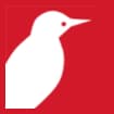 Logo Picchio News Srls