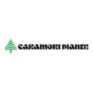 Logo Caramori Srl