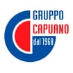 Logo Calcestruzzi Capuano Di Maria Capuano E C. S.a.s.