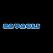 Logo Zavagli Srl