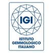 Logo Igicom Srl