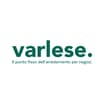 Logo Varlese Srl