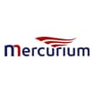 Logo Studio Mercurium Società Tra Professionisti Srl