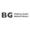Logo Bg Srl