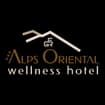 Logo Albergo Oriental Di Fanetti Olga & C. S.a.s.