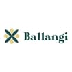 Logo Ballangi Srl