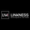 Logo Linkness Srl
