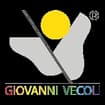 Logo Vecoli Giovanni & C. S.a.s.