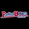 Logo Puntillo Brico Società Unipersonale A R.l.