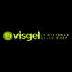 Logo Visgel Catering Srl