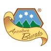 Logo Apicoltura Burato Di Burato Paolo