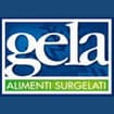 Logo Gela Srl In Breve Gela Srl