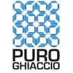 Logo Puroghiaccio Service Srl