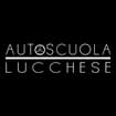 Logo Autoscuola Lucchese Di Menchini Francesca & C. S.n.c.