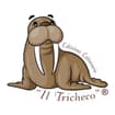 Logo Casa Editrice Edizioni Letterarie "Il Tricheco" Di Luigi Bulla