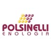 Logo Polsinelli Enologia Srl