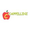 Logo Cappellini Giuseppe E C. S.n.c.