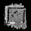 Logo Briscagli Franco