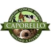 Logo Caporello Carlo Srl