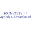 Logo Bs Invest Srl