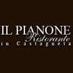 Logo Il Pianone Srl