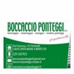 Logo Boccaccio Ponteggi Srl