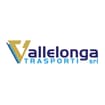 Logo Vallelonga Trasporti Srl