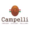 Logo Campelli Srl