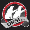 Logo Orsi Group Srl