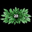 Logo 2A Spa