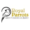 Logo Royal Parrots Di Zimbelli Enrico