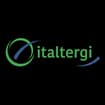 Logo Italtergi Srl