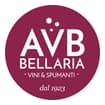 Logo Avb Srl