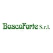 Logo "Boscoforte Srl"