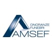 Logo Amsef Srl