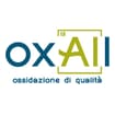 Logo Oxall Ossidazione Di Qualita' Srl