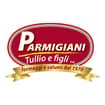 Logo Parmigiani Tullio E Figli Snc