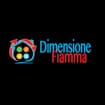 Logo Dimensione Fiamma Srl