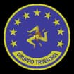 Logo Gruppo Trinacria Srl