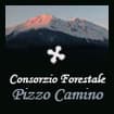 Logo Consorzio Forestale Pizzo Camino In Sigla C.f.p.c.