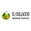 Logo Il Collaccio Di Raffaele Baldoni & C. S.a.s.