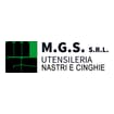 Logo M.g.s. Srl