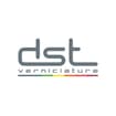 Logo Dst Srl