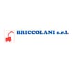 Logo Briccolani Srl