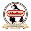 Logo Saladine Srl