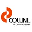 Logo "Collini S.n.c. Di Collini Guido & C."