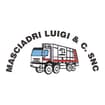 Logo Masciadri Luigi & C. S.n.c.