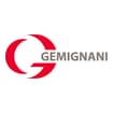 Logo F.lli Gemignani & C. S.n.c. Di Gemignani Lorenzo, Gemignani Rober To & C.