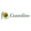 Logo Cozzolino Srl