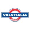 Logo Valvitalia Spa